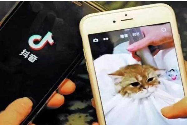 抖音一个手机号可以绑定几个